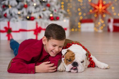Noel tatili. yakışıklı çocuk çevresinde ağaç bol presents yeni yıl için onun arkadaş İngilizce bulldog yakın ile yaşam süresi zevk. Sihirli Noel