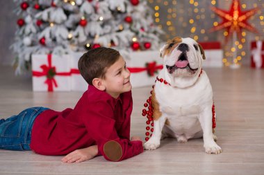 Noel tatili. yakışıklı çocuk çevresinde ağaç bol presents yeni yıl için onun arkadaş İngilizce bulldog yakın ile yaşam süresi zevk. Sihirli Noel