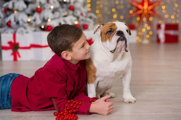 Різдвяні Свята Красивий Хлопчик Насолоджується Життям Своїм Другом Англійським Бульдогом — стокове фото