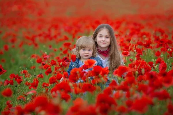 fashion, freedom, journey, travel, family, friendship concept - in the middle of poppy field there are enchanting little nymphs in gorgeous blue and white dresses and with floral wreaths on heads.