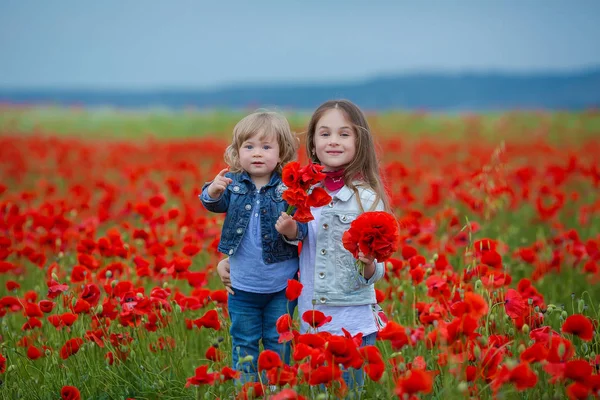 fashion, freedom, journey, travel, family, friendship concept - in the middle of poppy field there are enchanting little nymphs in gorgeous blue and white dresses and with floral wreaths on heads.