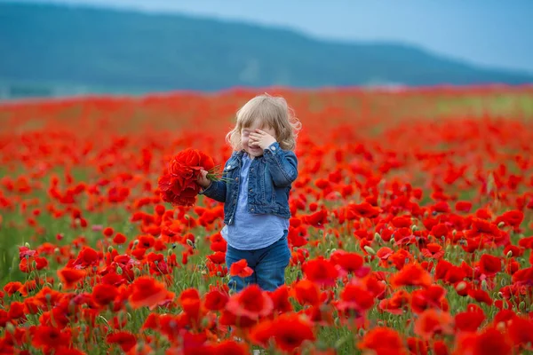 Niña Recogiendo Amapolas Campo Niña Amapola Campo Jeans Hiding Flores —  Fotos de Stock