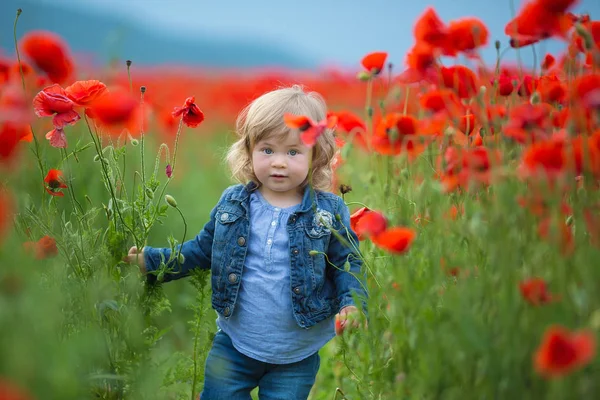 Malá Holčička Výdeje Máky Poli Malá Dívka Maková Pole Džíny — Stock fotografie