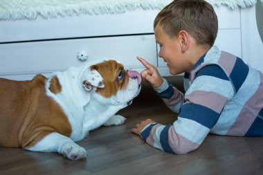 Yakışıklı genç çocuk çocuk giyiyor rahat pijama oyun onun İngilizce komik boğa köpek yere ile birbirlerine sevgi ile asılı zaman hafta sonu hayattan zevk ve ihale.
