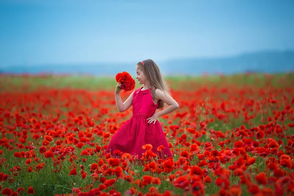 Sevimli sarışın kız arka plan üzerinde Dağları ile haşhaş alan çayır üzerinde poz vampir koyu kırmızı elbiseli şık çekici giyinmiş. Sahne sevimli teen poppie buket elinde tutan.