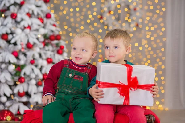 Natal Duas Crianças Meninos Posando Estúdio Atirar Perto Árvore Ano — Fotografia de Stock