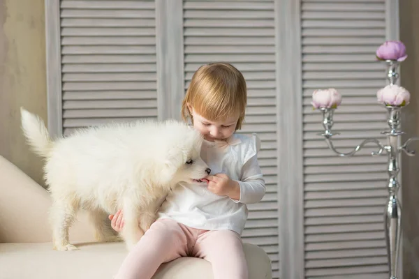 Retrato Niña Rubia Jugar Con Husky Puppy Model Chica Con — Foto de Stock