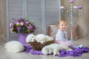 Sarışın kız retro stüdyo çekimi husky yavrusu beyaz renk ile poz. Sevimli genç çocuk oynamak tasarlanmış ev dekorasyonu köpeklerde köpek yavrusu ile