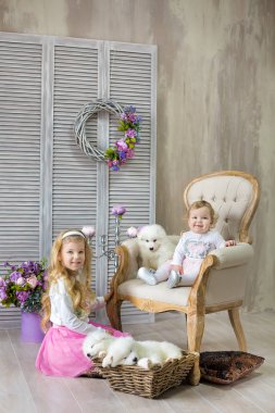 Sarışın kız kız kardeş Husky köpek yavrusu beyaz ile poz retro stüdyo çekimleri de renk. Yavru köpeklerde tasarlanmış ev dekorasyonu ile sevimli genç çocuk sisters çal