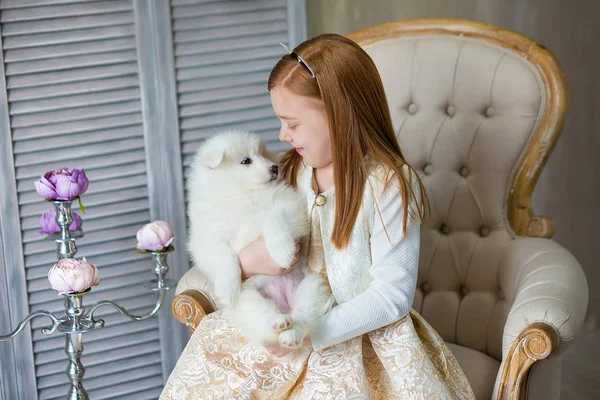 生姜髪の少女の肖像画は ハスキーのポピーと遊ぶ 赤い髪とロイヤル レトロなアームチェア着てかわいいドレスに座ってサミー白い子犬とスタジオ撮影でポーズをとるモデルの女の子 — ストック写真