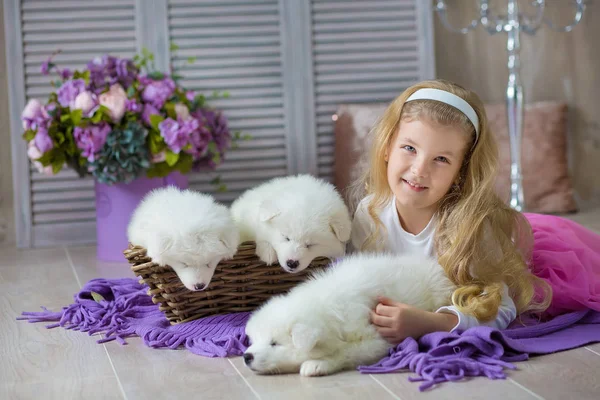 Chica Rubia Posando Con Cachorro Husky Color Blanco Sesión Estudio — Foto de Stock