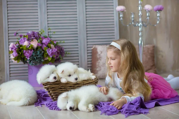 Chica Rubia Posando Con Cachorro Husky Color Blanco Sesión Estudio — Foto de Stock