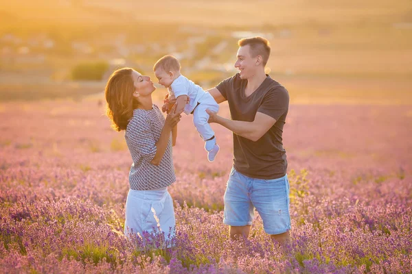 Familienporträt Mutter Vater Und Kleiner Sohn Auf Dem Lavendelfeld Beim — Stockfoto