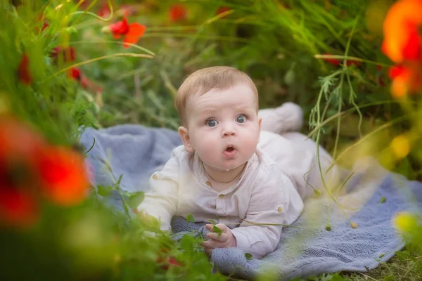 Toddler Dziewczynka Chłopiec Bawi Się Czerwone Kwiaty Maku Polu Pszenicy — Zdjęcie stockowe