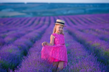 Provence lavanta alanlar arasında küçük bir kız yürüyor. Kız gücü ve güzel doğa inanılmaz sahne