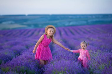 Provence lavanta alanlar arasında küçük bir kız yürüyor. Kız gücü ve güzel doğa inanılmaz sahne