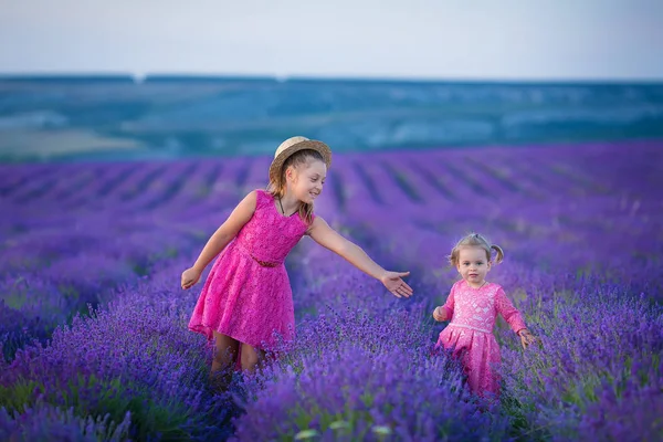 Una Niña Camina Entre Los Campos Lavanda Provenza Increíble Escena —  Fotos de Stock