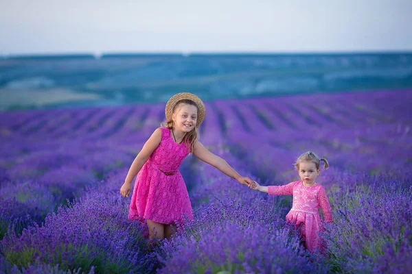 Provence lavanta alanlar arasında küçük bir kız yürüyor. Kız gücü ve güzel doğa inanılmaz sahne