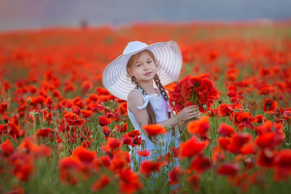 Csodálatos Közelről Szép Aranyos Fiatal Romantikus Lány Mák Virág Kezében — Stock Fotó