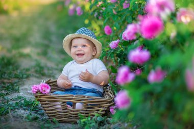 Sevimli sarışın çocuk oğlan sepet pembe gül alanında ayakta çiçek içinde oturuyor. Şık elbise ve şapka giymiş, yaz saati gün zevk .