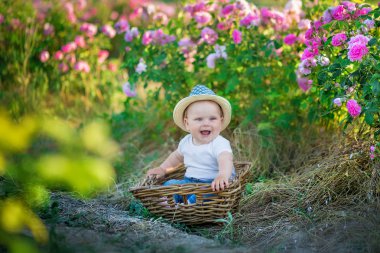 Sevimli sarışın çocuk oğlan sepet pembe gül alanında ayakta çiçek içinde oturuyor. Şık elbise ve şapka giymiş, yaz saati gün zevk .