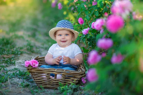 Aranyos Szőke Gyermek Fiú Kosár Virágot Rózsaszín Rózsa Mező Állandó — Stock Fotó