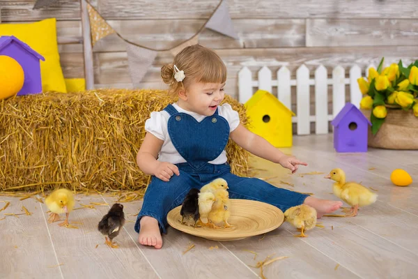 可爱的小女孩穿着质朴的牛仔裤玩捉迷藏和一只鸡坐在干草堆 孩子与动物在一起的概念 演播室 图库图片