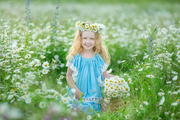 Видатна Красива Дівчина Леді Ромашковому Полі Квітів Насолоджується Літнім Весняним — стокове фото