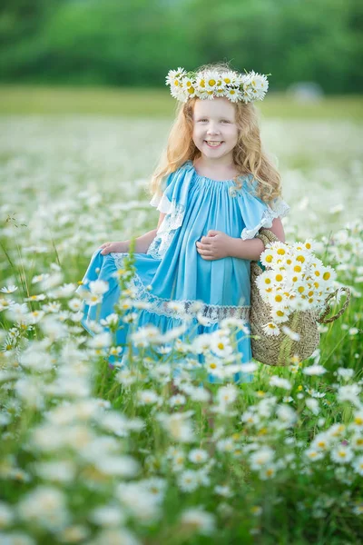 Outstanding Beautiful Girl Lady Daisy Flowers Field Enjoying Summer Spring — Stock Photo, Image