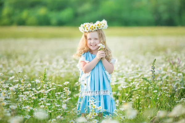 Enastående Vacker Flicka Dam Daisy Blommor Fält Njuter Sommaren Våren — Stockfoto