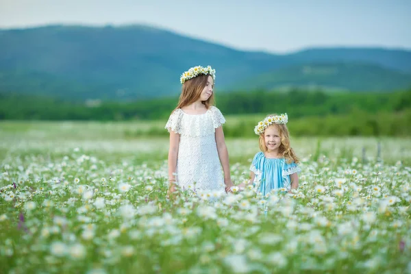 Două Fete Fericite Teren Surorile Bucură Vacanța Vară Sat Imagini stoc fără drepturi de autor