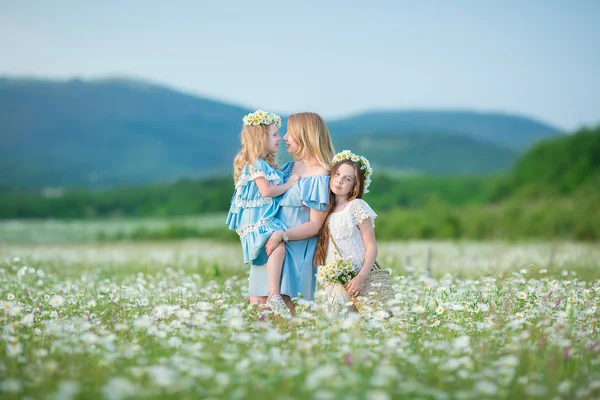 Mama Fiica Fericite Copil Împreună Flori Păpădie Galbenă Ziua Vară fotografii de stoc fără drepturi de autor