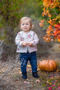 Kırsal açık zevk sahip şirin küçük çocuk