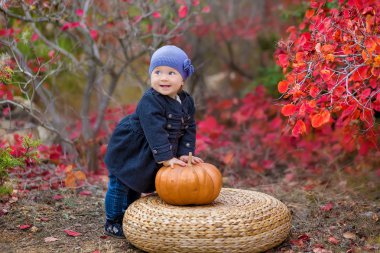 Kırsal açık zevk sahip şirin küçük çocuk