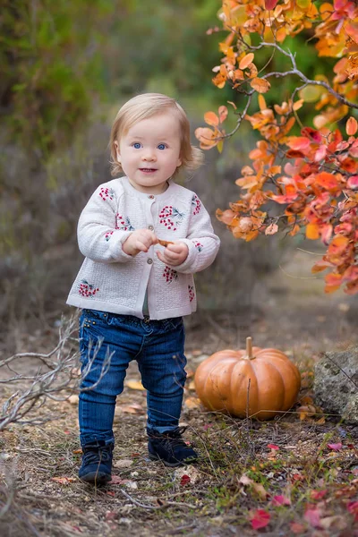 Schattige Kleine Jongen Met Genieten Van Het Platteland Outdoor — Stockfoto