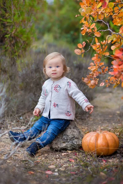 Kırsal açık zevk sahip şirin küçük çocuk