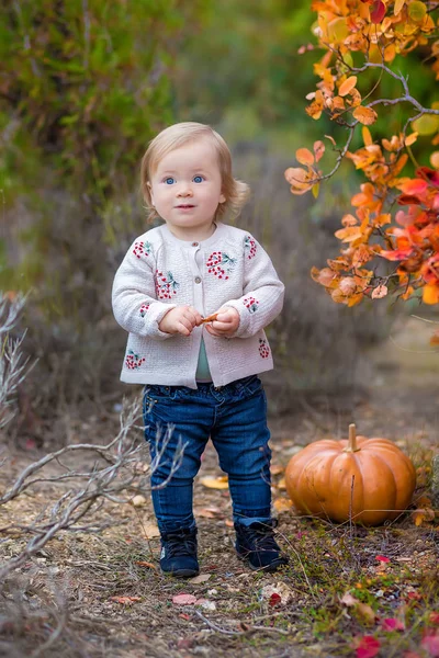 Kırsal açık zevk sahip şirin küçük çocuk