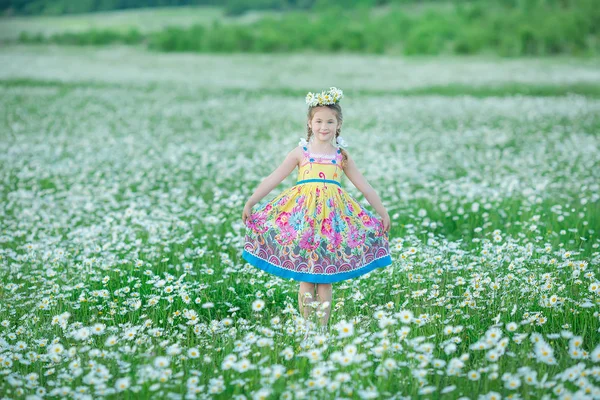 Carefree Adorable Girl Bouquet Fairy Field Chamomile Summer Freedom Enjoy — Stock Photo, Image