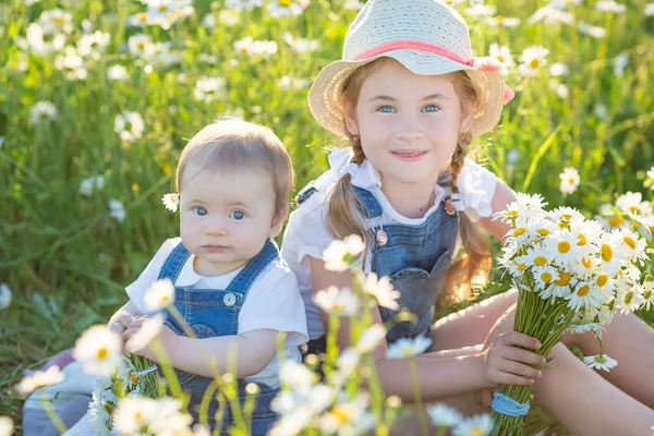 Kleines Mädchen Auf Einem Feld Mit Blumen — Stockfoto