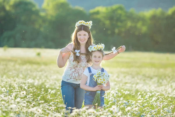 Fiatal Család Egy Mezőt Virágok Kerti Kamilla Anjoy Spa Élet — Stock Fotó