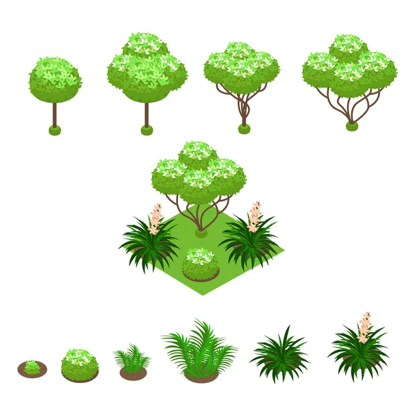 Collection Isometric Plants Trees Bushes Isometric Park Vector Plants Isolated — Stock Vector