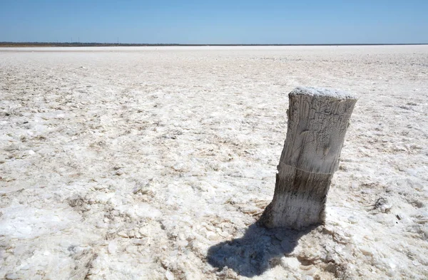 湖埃尔顿的水晶盐 — 图库照片