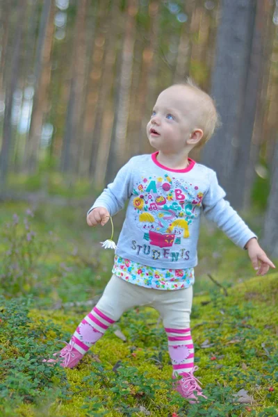 Küçük kız tek başına ormanda yürüyor