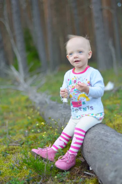 Küçük kız tek başına ormanda yürüyor