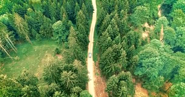 Vue Aérienne Survolant Une Vieille Route Forestière Deux Voies Parsemée — Video