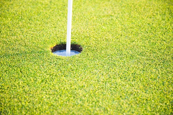 Agujero Golf Bandera Con Hierba Verde —  Fotos de Stock