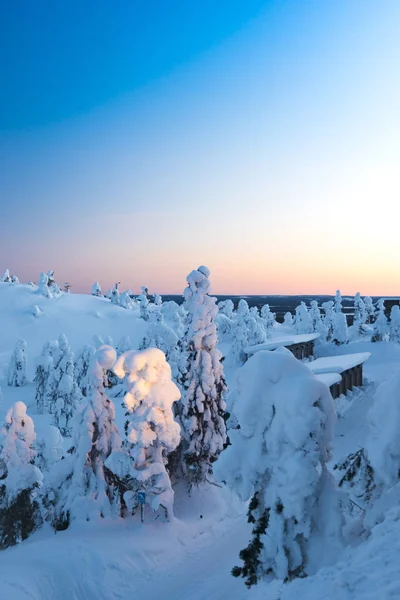 美丽的冬日日出在雪覆杉树的群山中 神秘的户外场景 快乐的新年庆祝理念 芬兰欧元A — 图库照片