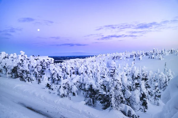 美丽的冬日日出在雪覆杉树的群山中 神秘的户外场景 快乐的新年庆祝理念 芬兰欧元A — 图库照片