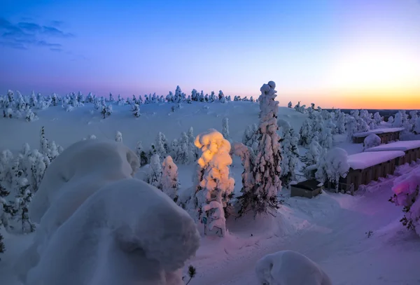 Зимний Восход Солнца Горах Покрытых Снегом Мистическая Сцена Открытом Воздухе — стоковое фото