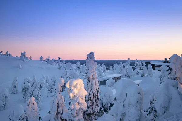 美丽的冬日日出在雪覆杉树的群山中 神秘的户外场景 快乐的新年庆祝理念 芬兰欧元A — 图库照片